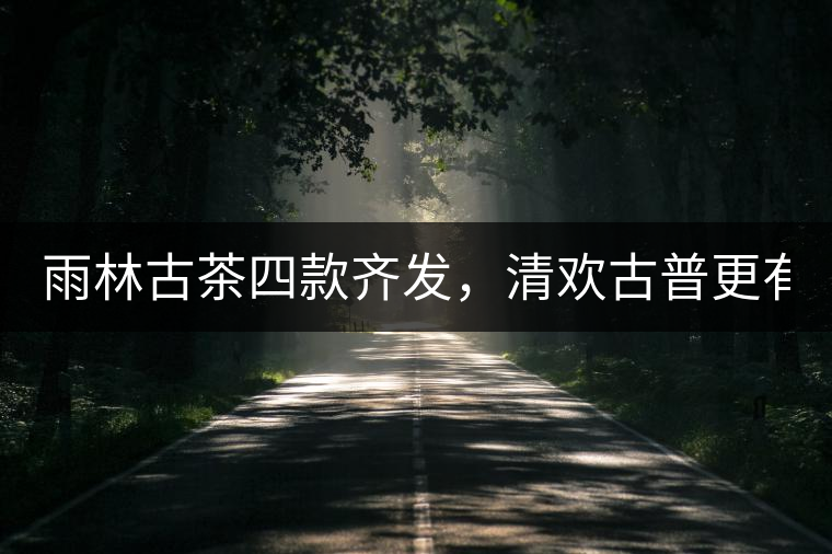 雨林古茶四款齊發(fā)，清歡古普更有味！