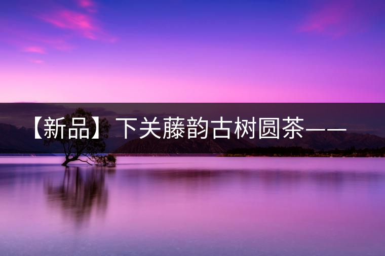 【新品】下關(guān)藤韻古樹圓茶——“千手觀音”臨世之風(fēng)骨 【新品】下關(guān)藤韻古樹圓茶——“千手觀音”臨世之風(fēng)骨