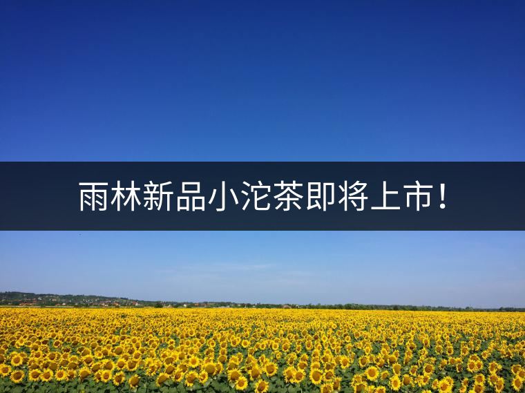 雨林新品小沱茶即將上市！