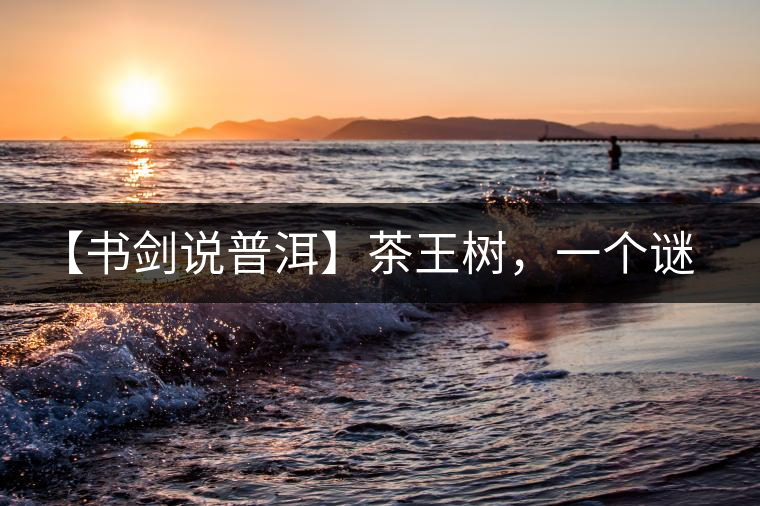 【書劍說普洱】茶王樹，一個(gè)謎一樣的地方