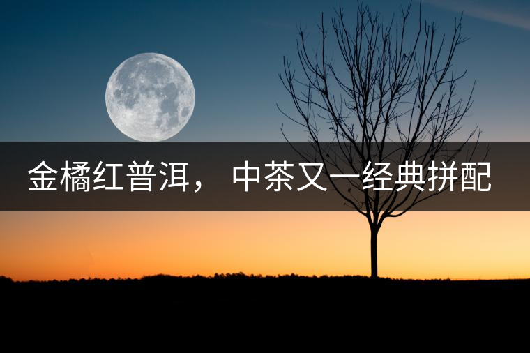 金橘紅普洱， 中茶又一經(jīng)典拼配力作，值得期待！
