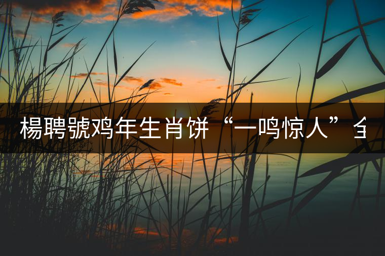 楊聘號(hào)雞年生肖餅“一鳴驚人”全國(guó)上市！