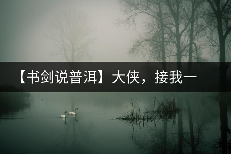 【書劍說普洱】大俠，接我一棒