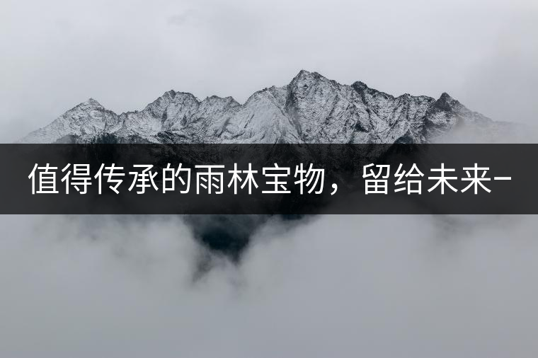 值得傳承的雨林寶物，留給未來一點“回甘”！