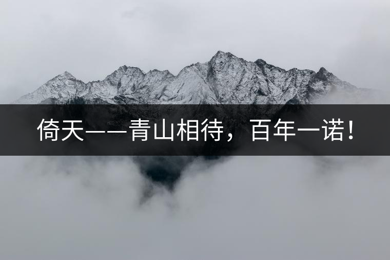 倚天——青山相待，百年一諾！