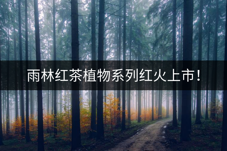 雨林紅茶植物系列紅火上市！