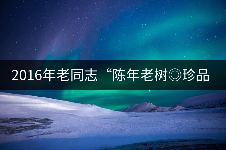 2016年老同志“陳年老樹◎珍品普洱”隆重上市！