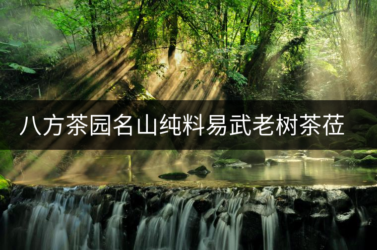 八方茶園名山純料易武老樹(shù)茶蒞臨 八方茶園名山純料易武老樹(shù)茶蒞臨