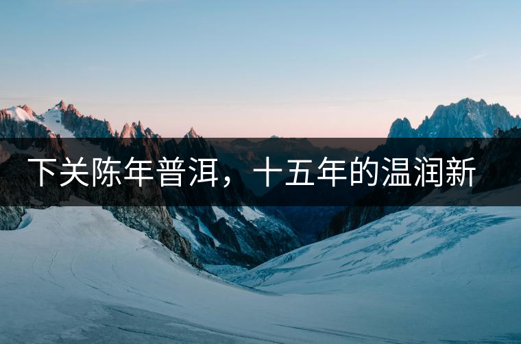 下關(guān)陳年普洱，十五年的溫潤(rùn)新生