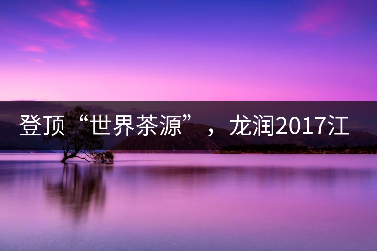 登頂“世界茶源”，龍潤2017江城茶上市啦！