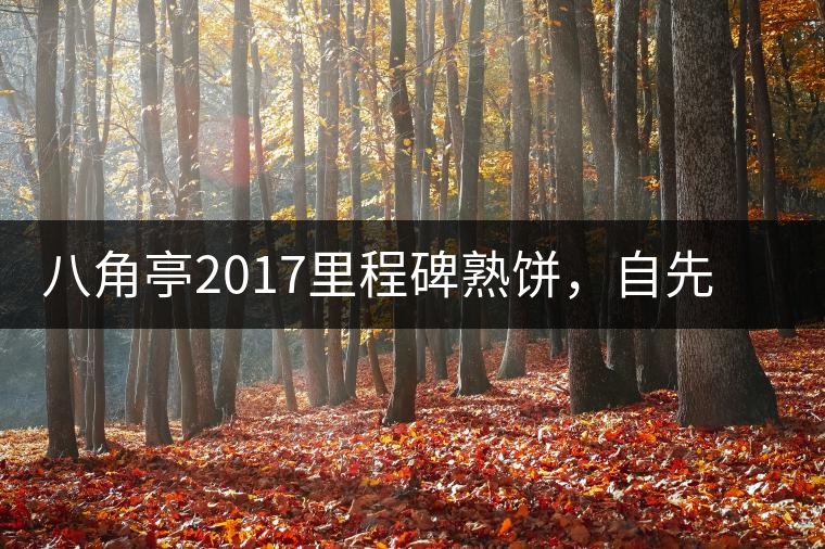 八角亭2017里程碑熟餅，自先發(fā)酵而后愛人