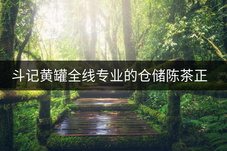 斗記黃罐全線專業(yè)的倉儲陳茶正式上市 斗記黃罐全線專業(yè)的倉儲陳茶正式上市