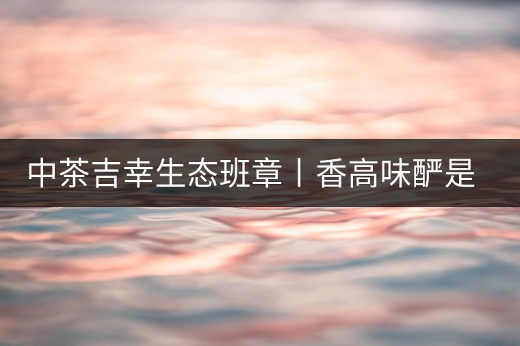 中茶吉幸生態(tài)班章丨香高味釅是王者，且品且珍惜