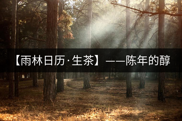 【雨林日歷·生茶】——陳年的醇，老料的香！