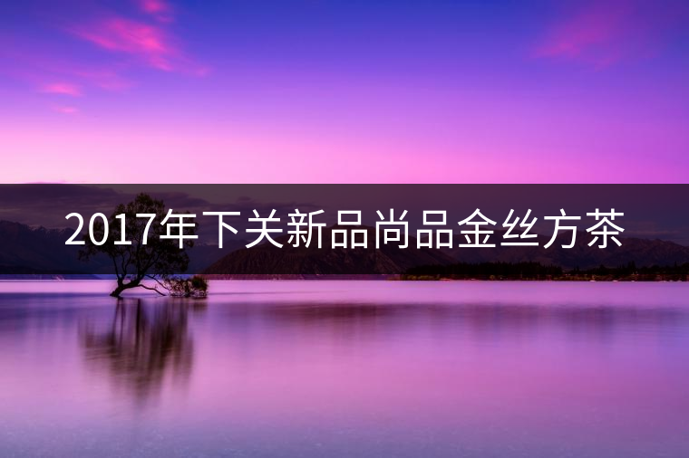 2017年下關(guān)新品尚品金絲方茶 2017年下關(guān)新品尚品金絲方茶