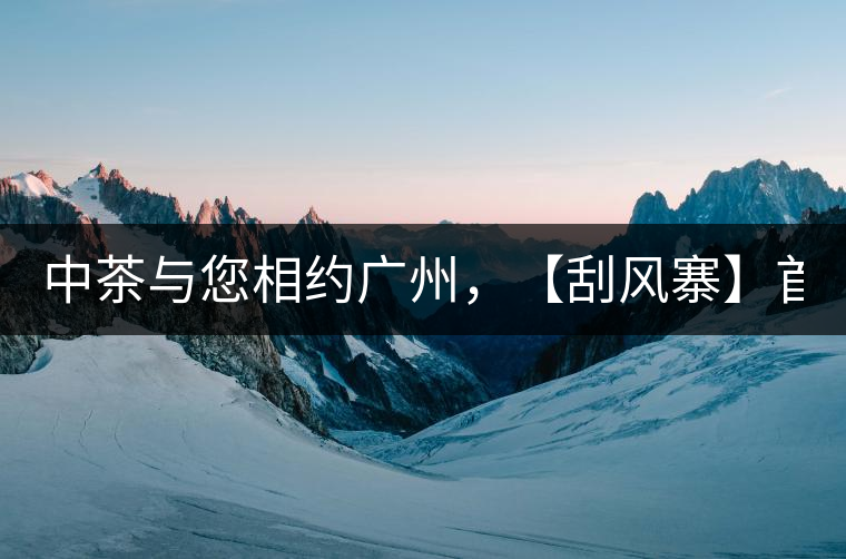 中茶與您相約廣州，【刮風寨】首次亮相！