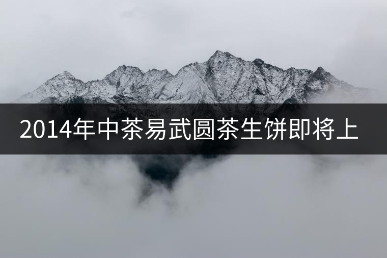 2014年中茶易武圓茶生餅即將上市 2014年中茶易武圓茶生餅即將上市