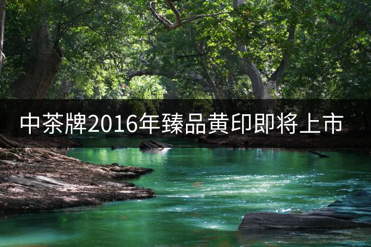 中茶牌2016年臻品黃印即將上市！