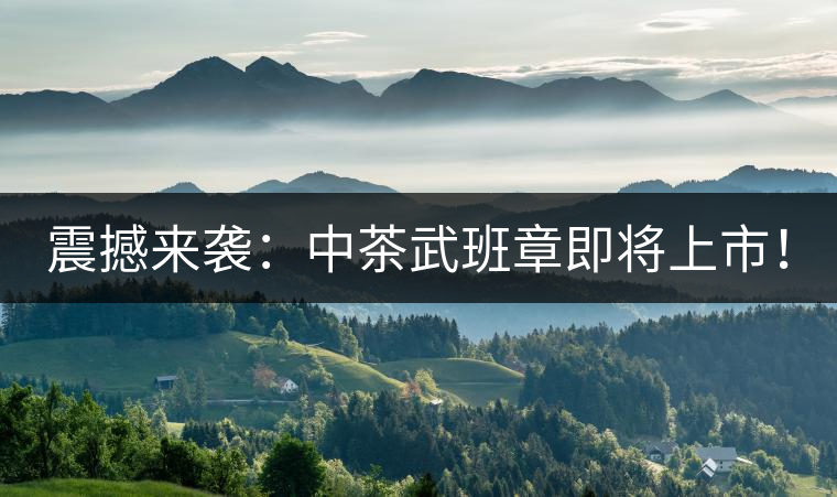 震撼來襲：中茶武班章即將上市！