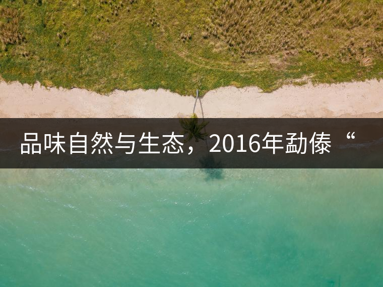 品味自然與生態(tài)，2016年勐傣“大雪山古樹(shù)茶”