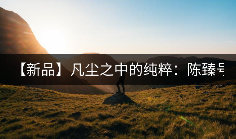 【新品】凡塵之中的純粹：陳臻號2016年精品青餅即將上市！