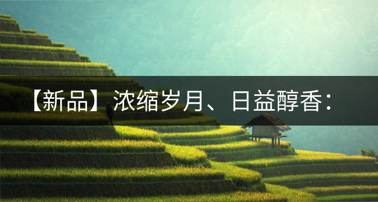 【新品】濃縮歲月、日益醇香：陳臻號陳品熟餅即將上市！