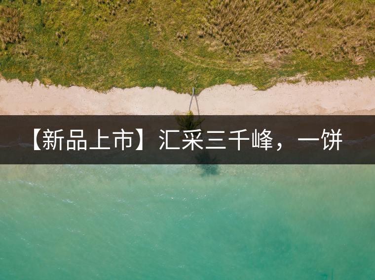 【新品上市】匯采三千峰，一餅群山鑄——群峰之峻！
