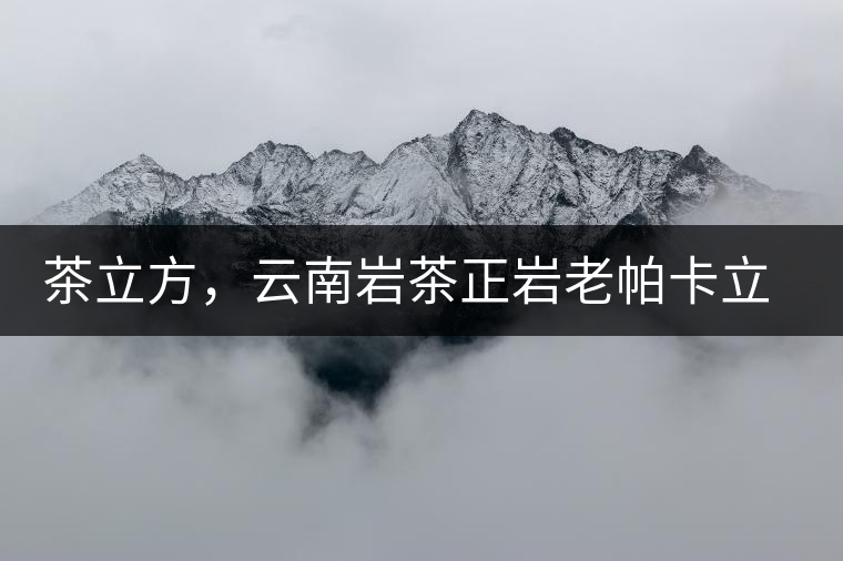 茶立方，云南巖茶正巖老帕卡立方磚今日芳香出爐