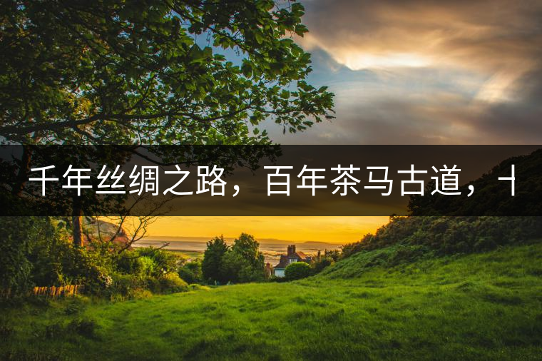 千年絲綢之路，百年茶馬古道，十年尋茶之旅，鑄造Puertea（十年紀(jì)念茶）