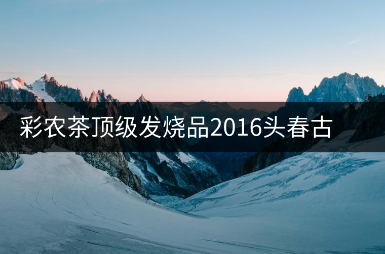 彩農(nóng)茶頂級(jí)發(fā)燒品2016頭春古樹純料青餅——云南巖茶·巖魂 彩農(nóng)茶頂級(jí)發(fā)燒品2016頭春古樹純料青餅——云南巖茶·巖魂
