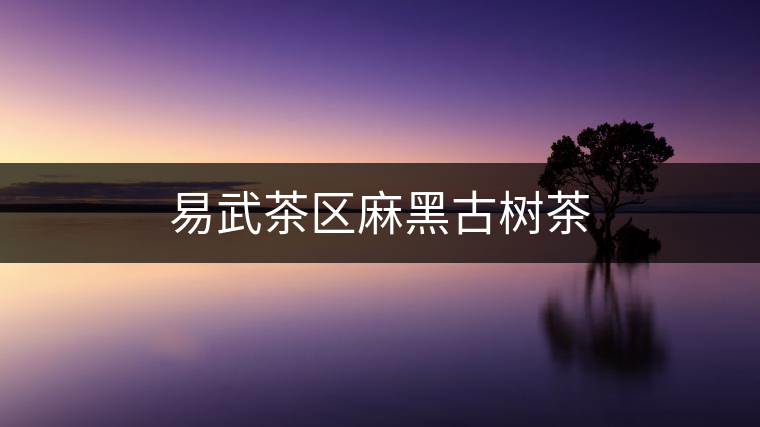 易武茶區(qū)麻黑古樹茶 易武茶區(qū)麻黑古樹茶