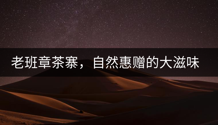 老班章茶寨，自然惠贈(zèng)的大滋味，大滿足