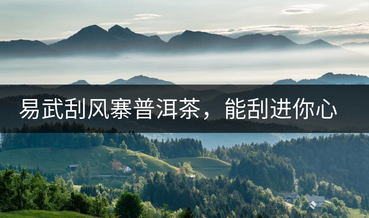 易武刮風(fēng)寨普洱茶，能刮進(jìn)你心中的一道風(fēng)