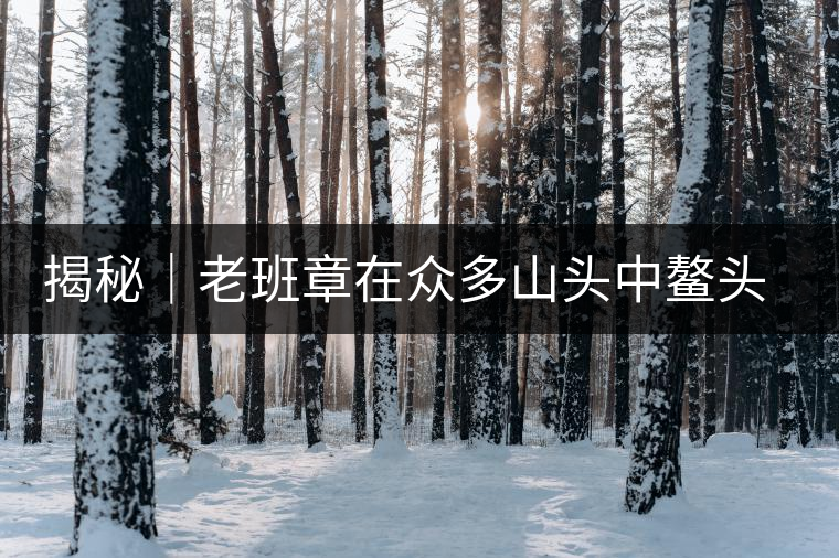 揭秘|老班章在眾多山頭中鰲頭引領(lǐng)的原因 揭秘|老班章在眾多山頭中鰲頭引領(lǐng)的原因
