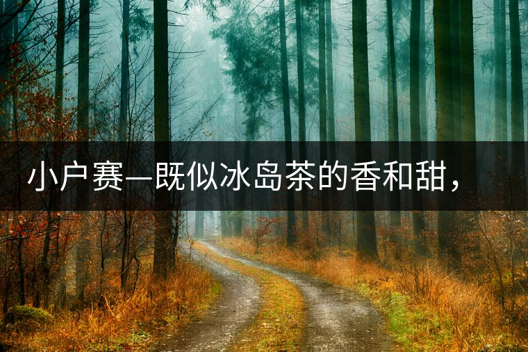 小戶賽—既似冰島茶的香和甜，又有其獨特的純和凈