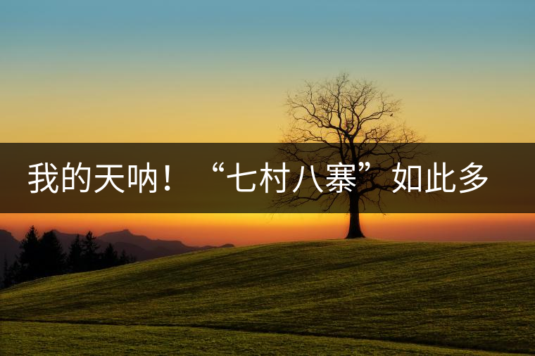 我的天吶！“七村八寨”如此多的易武茶，品質(zhì)特色如何分辨？