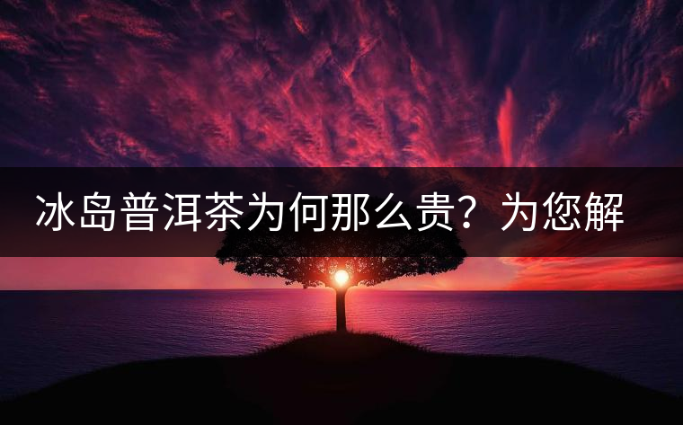 冰島普洱茶為何那么貴？為您解析其中的原由