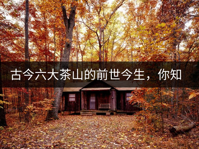 古今六大茶山的前世今生，你知多少？