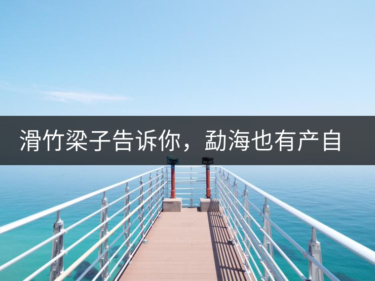 滑竹梁子告訴你，勐海也有產(chǎn)自國(guó)有林里的好茶！