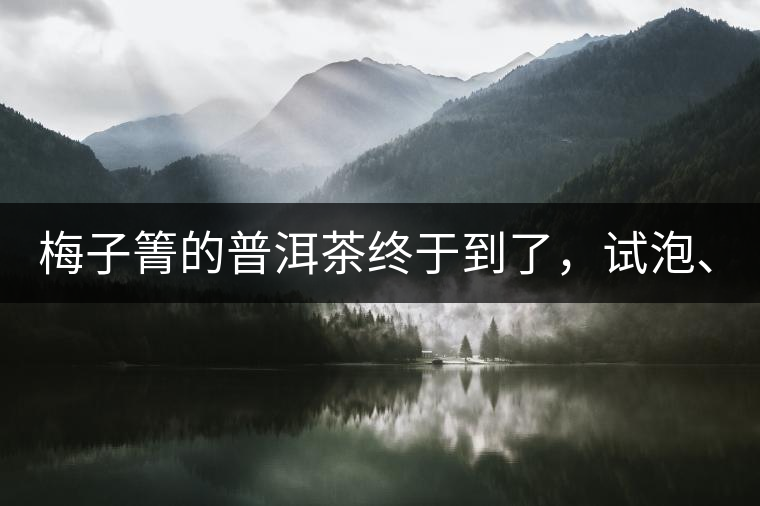 梅子箐的普洱茶終于到了，試泡、、、