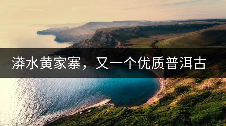 漭水黃家寨，又一個(gè)優(yōu)質(zhì)普洱古樹群落