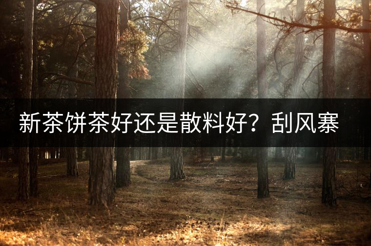 新茶餅茶好還是散料好？刮風(fēng)寨開(kāi)湯評(píng)測(cè)