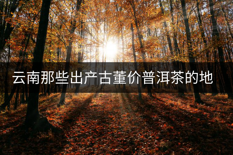 云南那些出產(chǎn)古董價(jià)普洱茶的地方，風(fēng)景如畫(huà)！