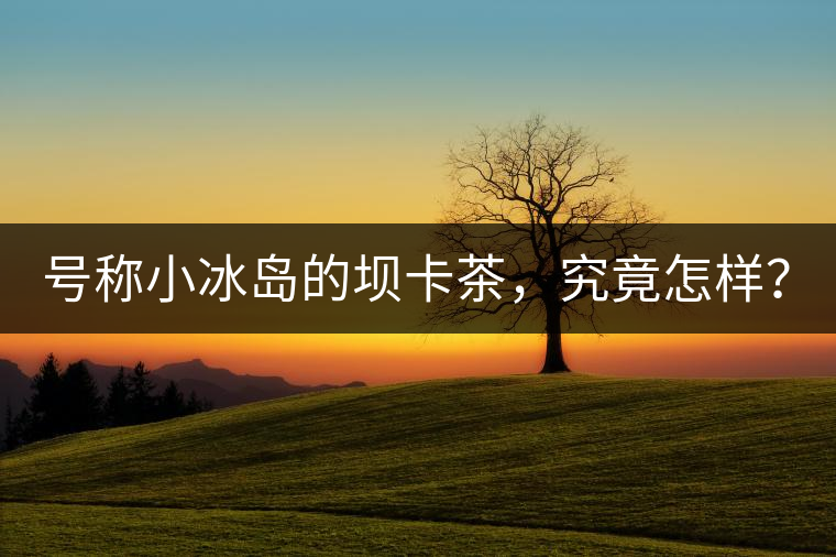 號稱小冰島的壩卡茶，究竟怎樣？