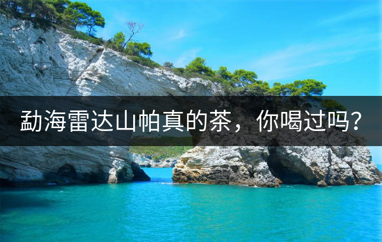 勐海雷達(dá)山帕真的茶，你喝過嗎？