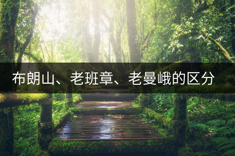 布朗山、老班章、老曼峨的區(qū)分和鑒別