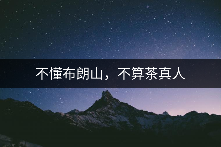 不懂布朗山，不算茶真人
