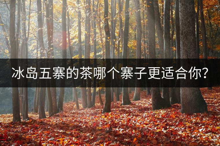 冰島五寨的茶哪個(gè)寨子更適合你？