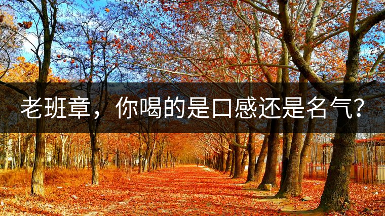 老班章，你喝的是口感還是名氣？