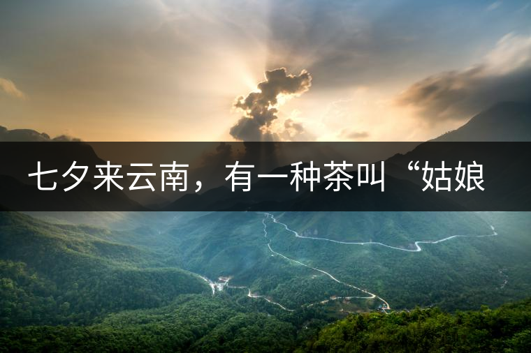 七夕來云南，有一種茶叫“姑娘茶”，也許你就能遇上